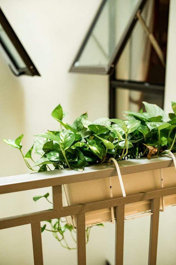 Deluxe King Room,912273664:JPEG